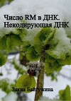 Число RM в ДНК. Некодирующая ДНК
