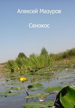 Сенокос