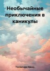 Необычайные приключения в каникулы