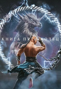 Книга пяти колец. Том 4 (СИ)