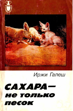 Сахара — не только песок