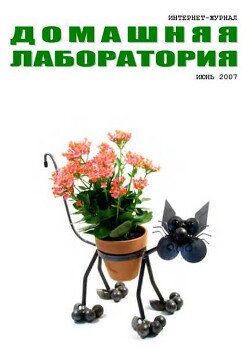 Интернет-журнал "Домашняя лаборатория", 2007 №6