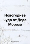 Новогоднее чудо от Деда Мороза