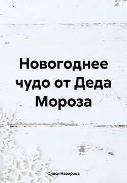 Новогоднее чудо от Деда Мороза