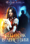 Бытовик в действии (СИ)