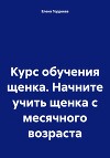 Курс обучения щенка. Начните учить щенка с месячного возраста