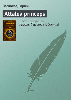 Аttalea princeps