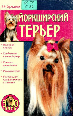 Йоркширский терьер