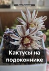 Кактусы на подоконнике