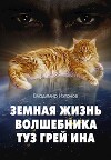 Земная жизнь волшебника Туз Грей Ина (СИ)