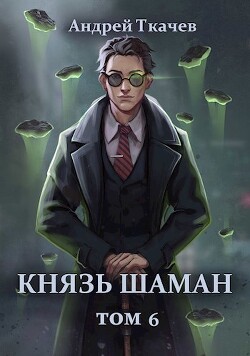 Князь шаман. Том 6 (СИ)