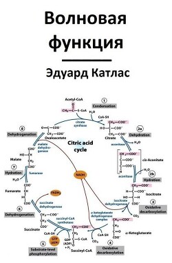 Волновая функция (СИ)