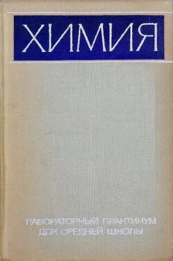 Химия. Лабораторный практикум для средней школы
