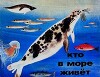 Кто в море живет
