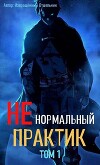 Ненормальный практик 1 (СИ)