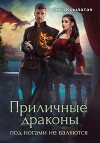 Приличные драконы под ногами не валяются
