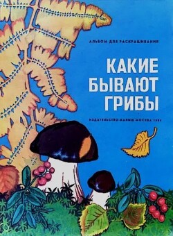 Какие бывают грибы