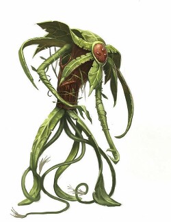 Звёзды сошлись