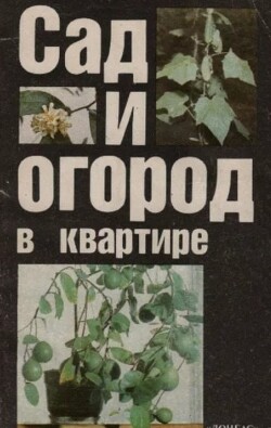 Сад и огород в квартире