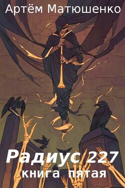 Радиус 227 книга пятая (СИ)