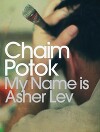 Мое имя – Ашер Лев (ЛП)