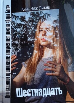 Шестнадцать