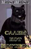Салем кот Поттера (СИ)