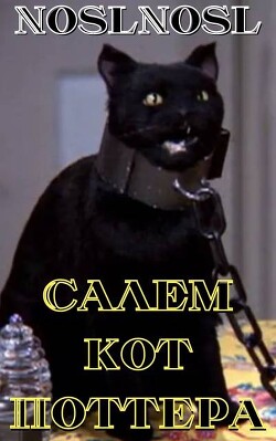 Салем кот Поттера (СИ)