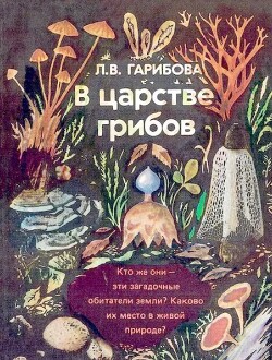 В царстве грибов