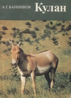 Кулан