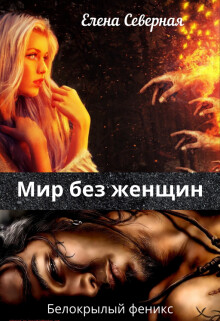 Мир без женщин (СИ)