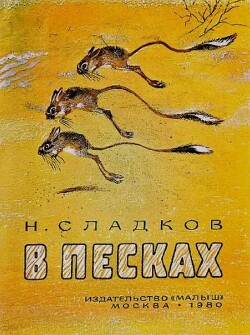 В песках