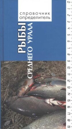 Рыбы Среднего Урала. Справочник-определитель