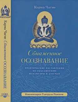 Обнаженное осознавание. Практические наставления