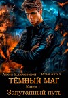 Тёмный маг. Книга 11. Запутанный путь