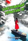 Системный практик XI (СИ)