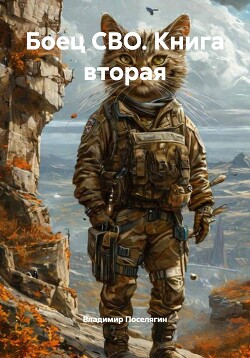 Боец СВО. Книга вторая