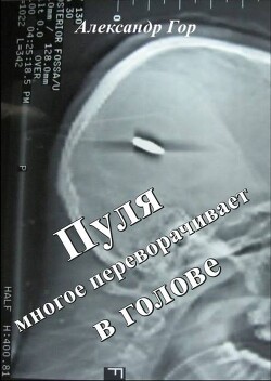 Пуля многое переворачивает в голове (СИ)