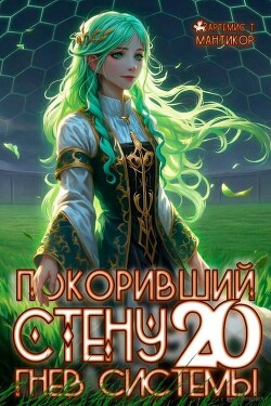 Покоривший СТЕНУ 20: Гнев Системы (СИ)