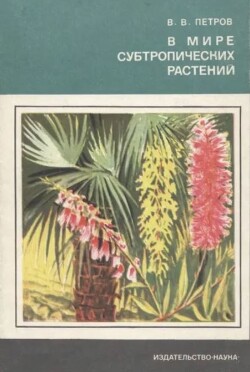 В мире субтропических растений