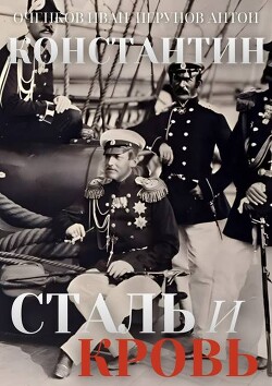 Сталь и Кровь (СИ)