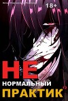 Ненормальный практик 12 (СИ)