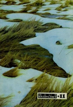 Юный натуралист 1970 №11