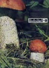 Юный натуралист 1970 №08