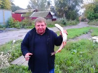 родюков алексей 