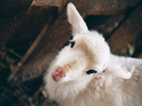 Мыльников Сергей 