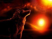 Ростова Наташа 