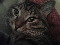 Иванова Мария 