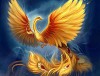 FireBird