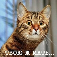 Ларкина Кристина 